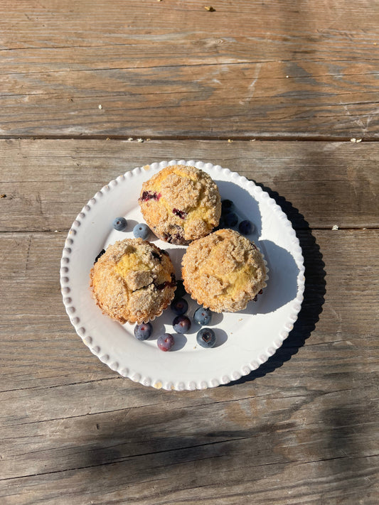 Growing Blueberries in the Deep South