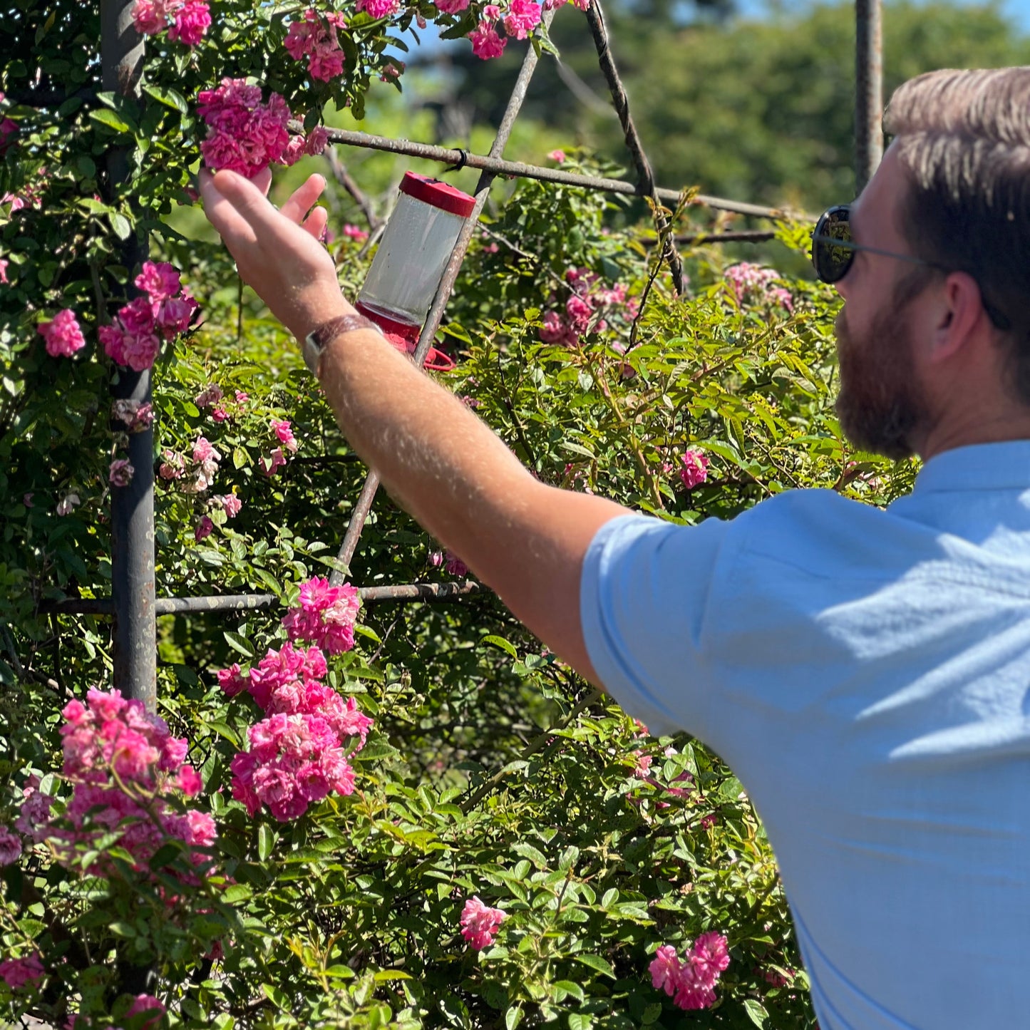 Residential Gardening Consultation (60 Minutes)