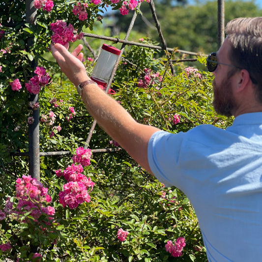 Residential Gardening Consultation (60 Minutes)
