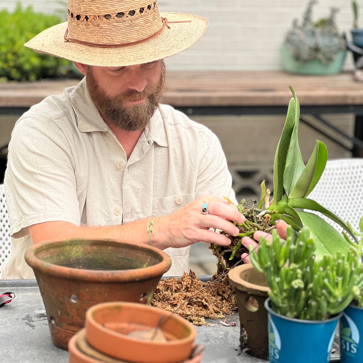 Garden Consulting Gift Certificate