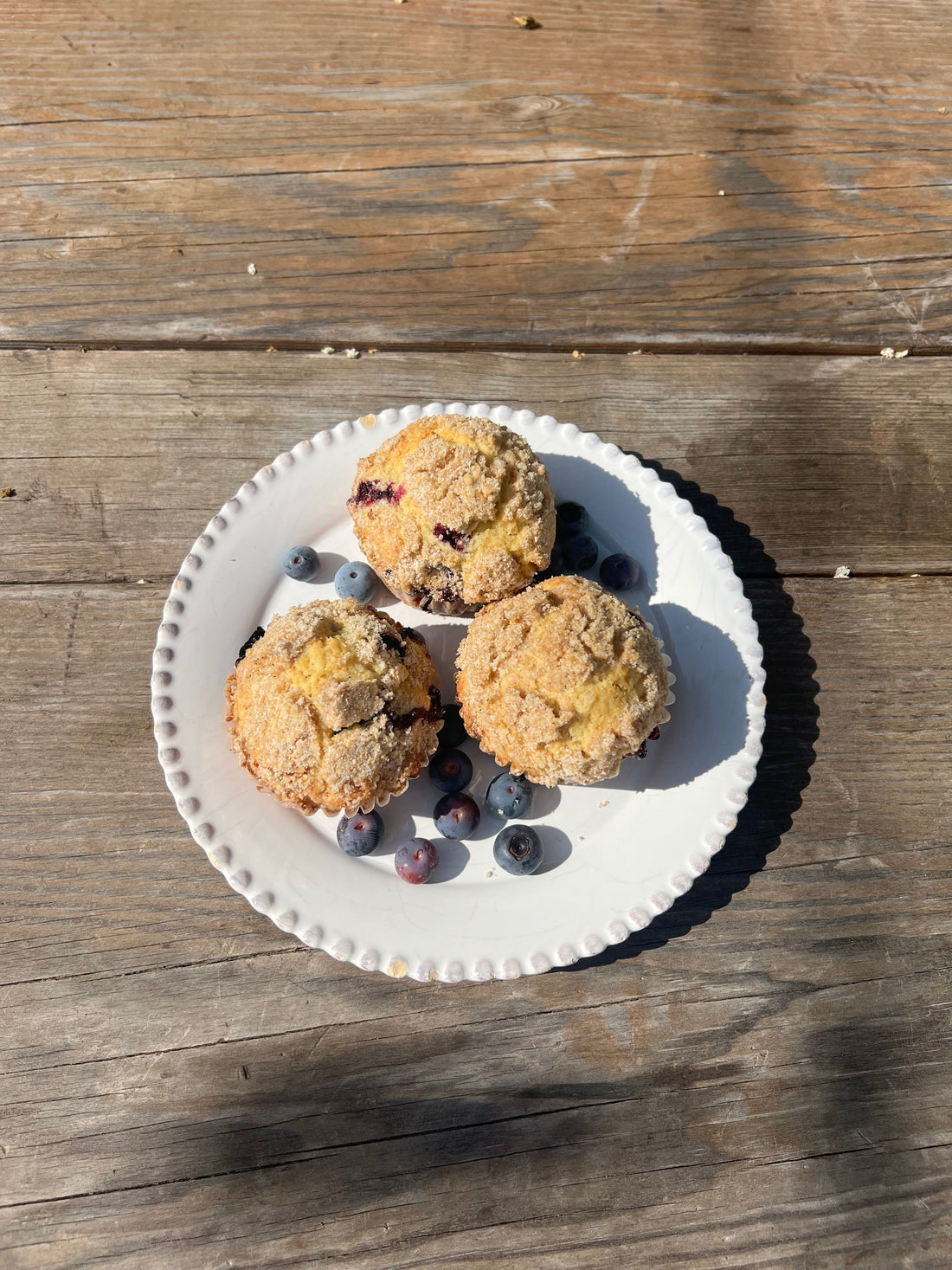 Growing Blueberries in the Deep South