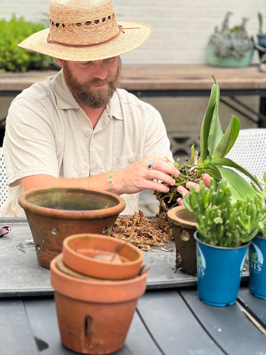 Repurposed Blog Post: A New Monthly Gardening Column by Lee Rouse