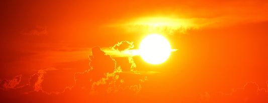 Beating the Heat: How High Temperatures Affect Plants, People & Gardening in the South