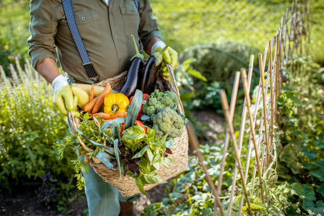 April Garden Maintenance in South Louisiana