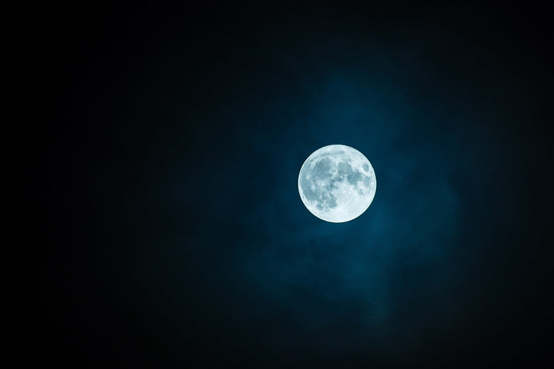 Creating a Moon Garden: Night-Blooming Plants for Your Evening Patio